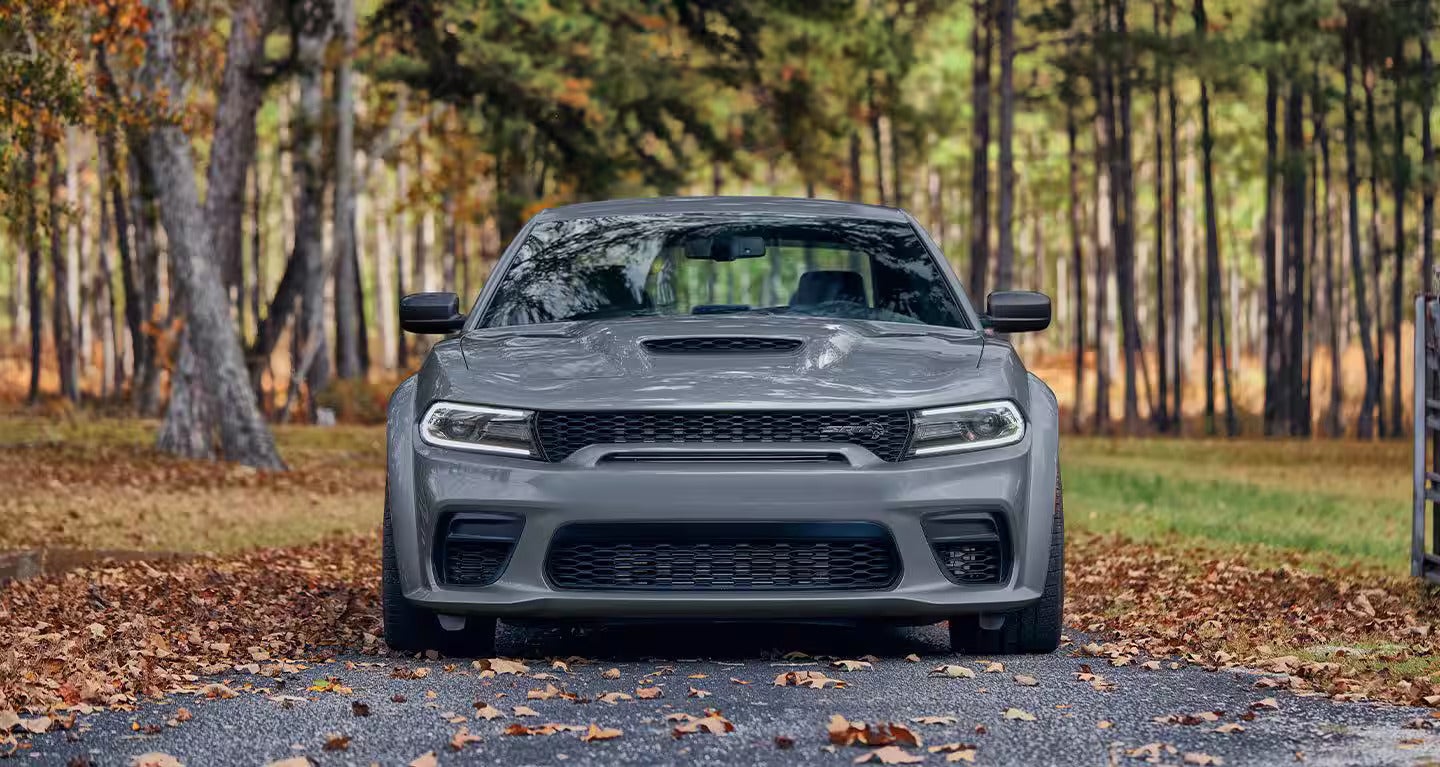 Front view of a gray Dodge Charger parked on a paved road with autumn leaves, a forest in the background.